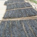 오도한방찜질방 이미지