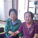 일송정 경로당 Daum카페