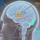 스타키보청기 목동센터 이미지