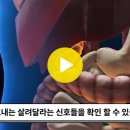 췌장암의 전조 증상과 췌장암 예방에 좋은 음식 이미지