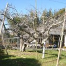 연수농장 이미지