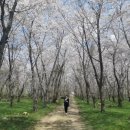 웅동수원지 이미지