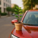 K-2 스포츠뱅크 | 케이뱅크 송편 퀴즈 정답 K 돈나무 총정리 (+ 보상, 참여 방법)