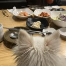 논현양꼬치