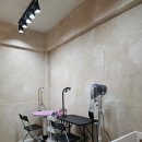 댕댕워시 이미지