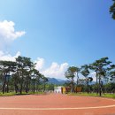 청도 신화랑풍류마을, 화랑촌 숙소 후기