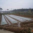 상신2리 이미지