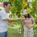 호선농장 이미지