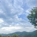 이목리 야구장 입구 이미지