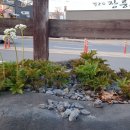 맛고을장단콩두부마을 이미지