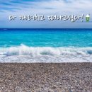 단고기촌