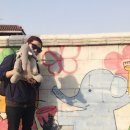 코끼리인형뽑기 이미지