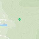 산수유꽃길민박 이미지