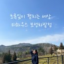 영천리 | 보성 카페 추천 초록잎이 펼치는 세상 티하우스 후기(메뉴,주차,자리 추천)