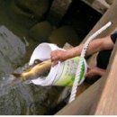 금곡1천 이미지