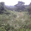 정곡리마을회관 이미지