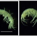 구무동굴 이미지