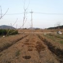 진호농장 이미지