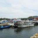 군산이일관광여행사