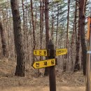 모산봉등산로 이미지