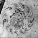 신 달토끼 이미지