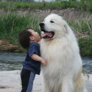 안녕하세요 이미지