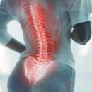 서울에이스정형외과의원 | 노원구청정형외과 허리디스크 자가 확인 방법과 생활 관리 총정리