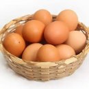 다온오리 이미지