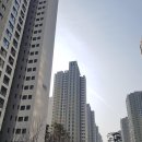 헬리오 이미지