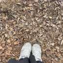 남원 백두대간 힐링 캠핑장 이미지