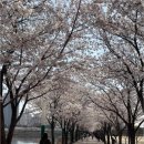 덕풍공원 제3공영주차장 (옥외2) | 수원 만석공원 벚꽃 데이트 코스와 주차장 꿀팁 (요금/할인 총정리)