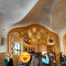 블루25 | 바르셀로나 까사바트요 Casa Batlló 블루티켓 후기 (25년 11월) 내부 관람 꼭 하세요 🇪🇸