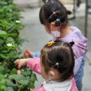 마린태권도장 이미지