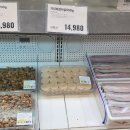 (주)정식품 | 트레이더스 10월 할인 상품 할인쿠폰 다운로드 장바구니 추천 상품 추석 세일 정보