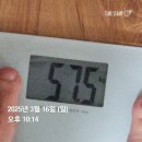 온잇독 | 스위치온 다이어트 기록_1주차
