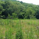 원주토지공인중개사사무소 이미지