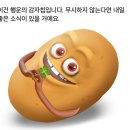 열두달수산