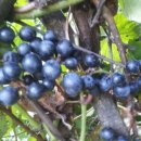 골짜기농장 이미지