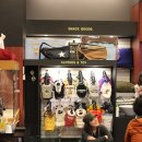 젠(Gen)동물병원 이미지