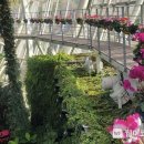 부천호수식물원 수피아 이미지