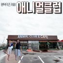 애니멀하우스 | 평택키즈카페 나들이장소추천 가재동 애니멀클럽 방문후기