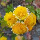 운동친구 이미지