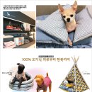 홈플러스 동수원점 수족관 여성동아