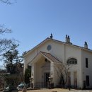 카페자연 | 부산 기장 아이랑 가기좋은 자연 속 대형카페 보몽드 내돈내산 후기