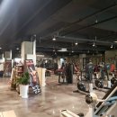 머슬피플 피트니스 이미지