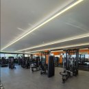 디엠케이짐 이미지