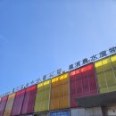 시온수산 | 마포농수산물시장 대게, 낙지, 쭈꾸미, 전복, 초밥 내돈내산 솔직 후기