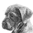 피앤에스수영장(월성점) 이미지