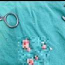 서울턱사랑니치과의원 | 분당[미금] 서울 턱 사랑니 치과