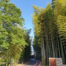 숲길농원 이미지